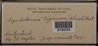 Image Associated With the Occurence